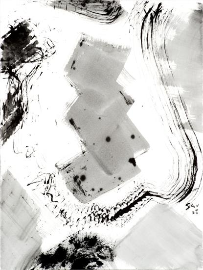 4-2009 compose 76x57 chf 2400.jpg